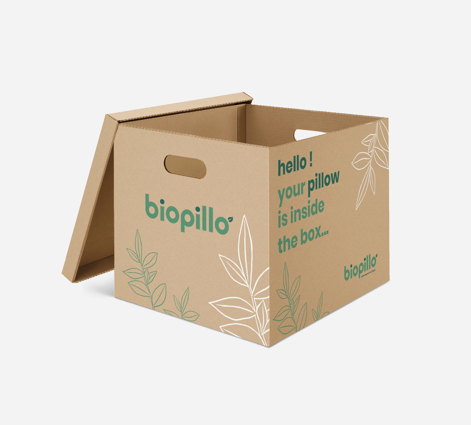 biopillo-box