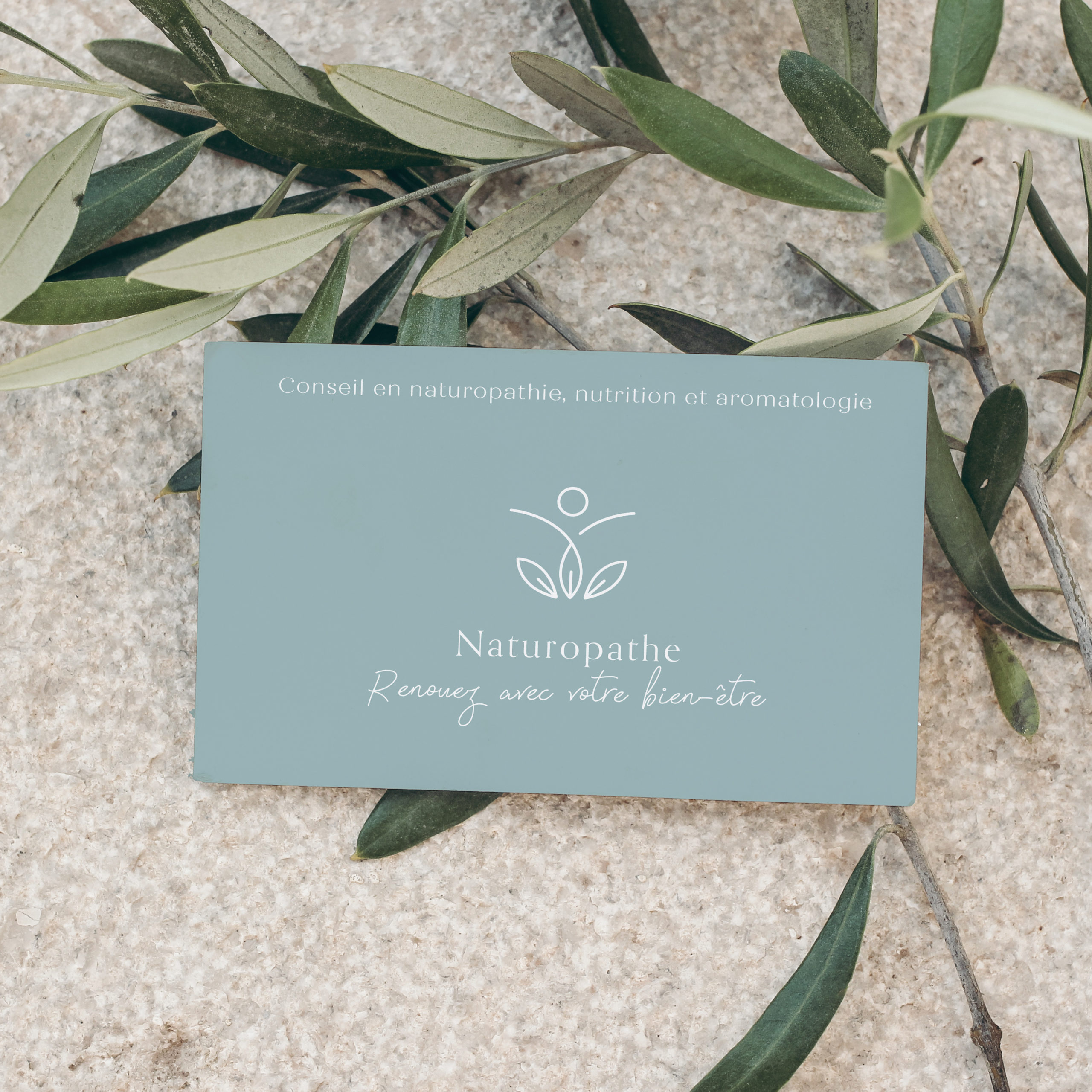 Summer stationery mockup scene,. Blank business card on concrete floor. Textured background with olive tree branch. Mediterranean design. Branding concept. Flat lay, top view, no people.